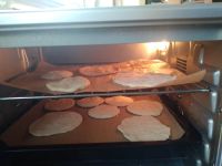 IMG-20250324-WA0016