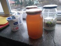 IMG-20250324-WA0019
