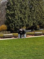 IMG-20250331-WA0033