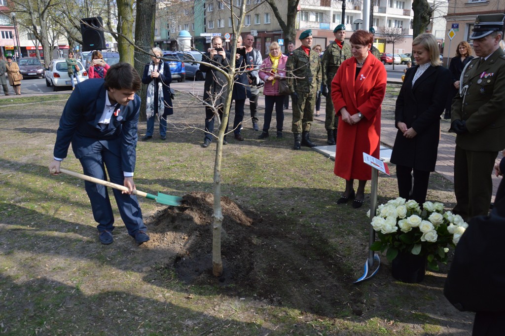 Dąb Pamięci 2019 