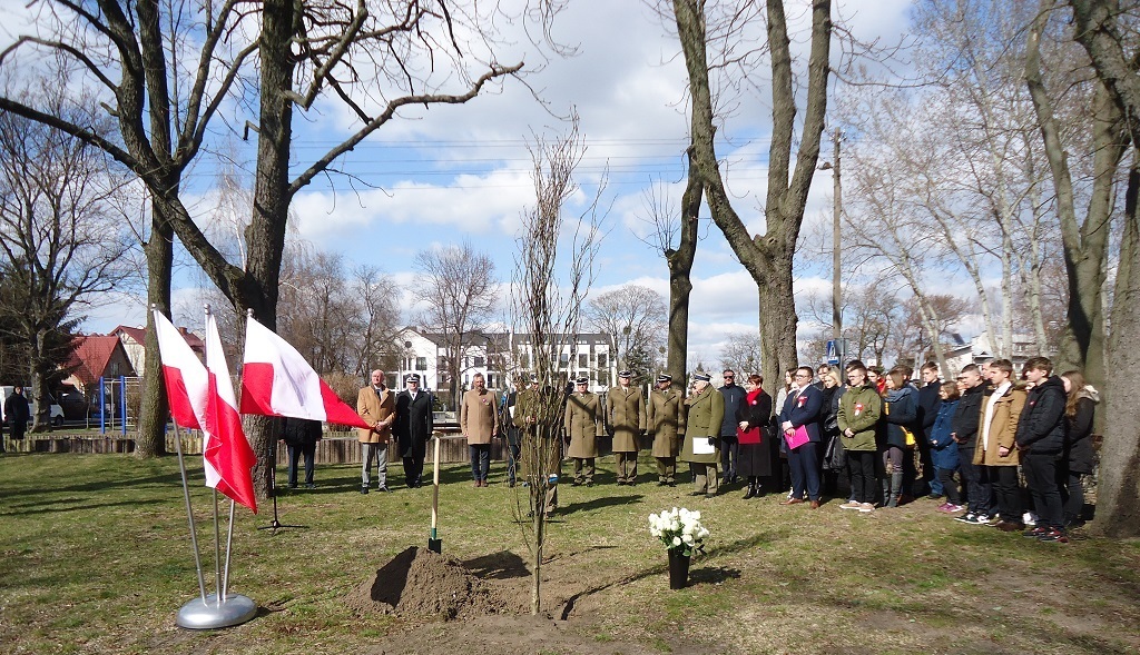 Dąb Pamięci 2022