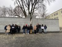 IMG_7558